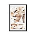 Picture of All the Shells  _GroupedProduct_Rectangle_Portrait_Photography _GroupedProduct_Rectangle_Portrait_Framed_Matted_