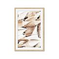 Picture of All the Shells  _GroupedProduct_Rectangle_Portrait_Photography _GroupedProduct_Rectangle_Portrait_Framed_Matted_