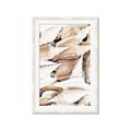Picture of All the Shells  _GroupedProduct_Rectangle_Portrait_Photography _GroupedProduct_Rectangle_Portrait_Framed_Matted_