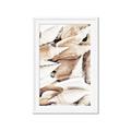 Picture of All the Shells  _GroupedProduct_Rectangle_Portrait_Photography _GroupedProduct_Rectangle_Portrait_Framed_Matted_