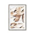 Picture of All the Shells  _GroupedProduct_Rectangle_Portrait_Photography _GroupedProduct_Rectangle_Portrait_Framed_Matted_