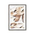 Picture of All the Shells  _GroupedProduct_Rectangle_Portrait_Photography _GroupedProduct_Rectangle_Portrait_Framed_Matted_