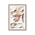 Picture of All the Shells  _GroupedProduct_Rectangle_Portrait_Photography _GroupedProduct_Rectangle_Portrait_Framed_Matted_