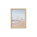 Picture of Beach Birds _GroupedProduct_Rectangle_Portrait_Photography _GroupedProduct_Rectangle_Portrait_Framed_Matted_