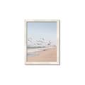 Picture of Beach Birds _GroupedProduct_Rectangle_Portrait_Photography _GroupedProduct_Rectangle_Portrait_Framed_Matted_