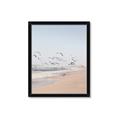 Picture of Beach Birds _GroupedProduct_Rectangle_Portrait_Photography _GroupedProduct_Rectangle_Portrait_Framed_Matted_
