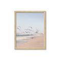 Picture of Beach Birds _GroupedProduct_Rectangle_Portrait_Photography _GroupedProduct_Rectangle_Portrait_Framed_Matted_