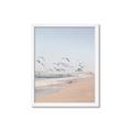 Picture of Beach Birds _GroupedProduct_Rectangle_Portrait_Photography _GroupedProduct_Rectangle_Portrait_Framed_Matted_