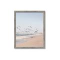 Picture of Beach Birds _GroupedProduct_Rectangle_Portrait_Photography _GroupedProduct_Rectangle_Portrait_Framed_Matted_