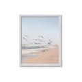 Picture of Beach Birds _GroupedProduct_Rectangle_Portrait_Photography _GroupedProduct_Rectangle_Portrait_Framed_Matted_