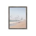 Picture of Beach Birds _GroupedProduct_Rectangle_Portrait_Photography _GroupedProduct_Rectangle_Portrait_Framed_Matted_