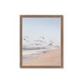 Picture of Beach Birds _GroupedProduct_Rectangle_Portrait_Photography _GroupedProduct_Rectangle_Portrait_Framed_Matted_