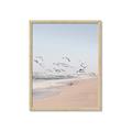 Picture of Beach Birds _GroupedProduct_Rectangle_Portrait_Photography _GroupedProduct_Rectangle_Portrait_Framed_Matted_