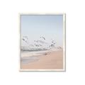 Picture of Beach Birds _GroupedProduct_Rectangle_Portrait_Photography _GroupedProduct_Rectangle_Portrait_Framed_Matted_
