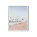 Picture of Beach Birds _GroupedProduct_Rectangle_Portrait_Photography _GroupedProduct_Rectangle_Portrait_Framed_Matted_