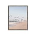 Picture of Beach Birds _GroupedProduct_Rectangle_Portrait_Photography _GroupedProduct_Rectangle_Portrait_Framed_Matted_