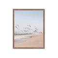 Picture of Beach Birds _GroupedProduct_Rectangle_Portrait_Photography _GroupedProduct_Rectangle_Portrait_Framed_Matted_