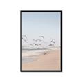 Picture of Beach Birds _GroupedProduct_Rectangle_Portrait_Photography _GroupedProduct_Rectangle_Portrait_Framed_Matted_