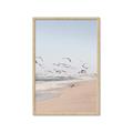 Picture of Beach Birds _GroupedProduct_Rectangle_Portrait_Photography _GroupedProduct_Rectangle_Portrait_Framed_Matted_