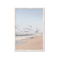Picture of Beach Birds _GroupedProduct_Rectangle_Portrait_Photography _GroupedProduct_Rectangle_Portrait_Framed_Matted_