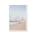 Picture of Beach Birds _GroupedProduct_Rectangle_Portrait_Photography _GroupedProduct_Rectangle_Portrait_Framed_Matted_