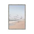 Picture of Beach Birds _GroupedProduct_Rectangle_Portrait_Photography _GroupedProduct_Rectangle_Portrait_Framed_Matted_
