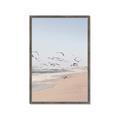 Picture of Beach Birds _GroupedProduct_Rectangle_Portrait_Photography _GroupedProduct_Rectangle_Portrait_Framed_Matted_