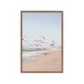 Picture of Beach Birds _GroupedProduct_Rectangle_Portrait_Photography _GroupedProduct_Rectangle_Portrait_Framed_Matted_