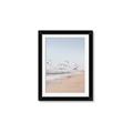 Picture of Beach Birds _GroupedProduct_Rectangle_Portrait_Photography _GroupedProduct_Rectangle_Portrait_Framed_Matted_