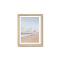 Picture of Beach Birds _GroupedProduct_Rectangle_Portrait_Photography _GroupedProduct_Rectangle_Portrait_Framed_Matted_