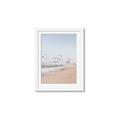 Picture of Beach Birds _GroupedProduct_Rectangle_Portrait_Photography _GroupedProduct_Rectangle_Portrait_Framed_Matted_
