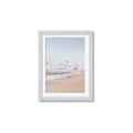 Picture of Beach Birds _GroupedProduct_Rectangle_Portrait_Photography _GroupedProduct_Rectangle_Portrait_Framed_Matted_