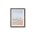 Picture of Beach Birds _GroupedProduct_Rectangle_Portrait_Photography _GroupedProduct_Rectangle_Portrait_Framed_Matted_