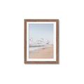 Picture of Beach Birds _GroupedProduct_Rectangle_Portrait_Photography _GroupedProduct_Rectangle_Portrait_Framed_Matted_