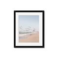Picture of Beach Birds _GroupedProduct_Rectangle_Portrait_Photography _GroupedProduct_Rectangle_Portrait_Framed_Matted_