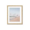 Picture of Beach Birds _GroupedProduct_Rectangle_Portrait_Photography _GroupedProduct_Rectangle_Portrait_Framed_Matted_