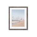 Picture of Beach Birds _GroupedProduct_Rectangle_Portrait_Photography _GroupedProduct_Rectangle_Portrait_Framed_Matted_