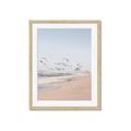 Picture of Beach Birds _GroupedProduct_Rectangle_Portrait_Photography _GroupedProduct_Rectangle_Portrait_Framed_Matted_