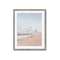 Picture of Beach Birds _GroupedProduct_Rectangle_Portrait_Photography _GroupedProduct_Rectangle_Portrait_Framed_Matted_