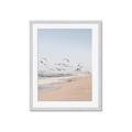 Picture of Beach Birds _GroupedProduct_Rectangle_Portrait_Photography _GroupedProduct_Rectangle_Portrait_Framed_Matted_