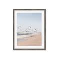 Picture of Beach Birds _GroupedProduct_Rectangle_Portrait_Photography _GroupedProduct_Rectangle_Portrait_Framed_Matted_