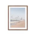 Picture of Beach Birds _GroupedProduct_Rectangle_Portrait_Photography _GroupedProduct_Rectangle_Portrait_Framed_Matted_