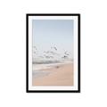 Picture of Beach Birds _GroupedProduct_Rectangle_Portrait_Photography _GroupedProduct_Rectangle_Portrait_Framed_Matted_