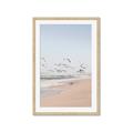 Picture of Beach Birds _GroupedProduct_Rectangle_Portrait_Photography _GroupedProduct_Rectangle_Portrait_Framed_Matted_