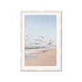 Picture of Beach Birds _GroupedProduct_Rectangle_Portrait_Photography _GroupedProduct_Rectangle_Portrait_Framed_Matted_