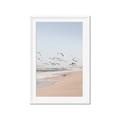 Picture of Beach Birds _GroupedProduct_Rectangle_Portrait_Photography _GroupedProduct_Rectangle_Portrait_Framed_Matted_