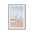 Picture of Beach Birds _GroupedProduct_Rectangle_Portrait_Photography _GroupedProduct_Rectangle_Portrait_Framed_Matted_