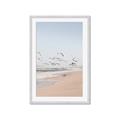 Picture of Beach Birds _GroupedProduct_Rectangle_Portrait_Photography _GroupedProduct_Rectangle_Portrait_Framed_Matted_