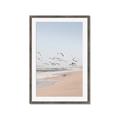 Picture of Beach Birds _GroupedProduct_Rectangle_Portrait_Photography _GroupedProduct_Rectangle_Portrait_Framed_Matted_