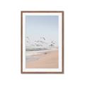 Picture of Beach Birds _GroupedProduct_Rectangle_Portrait_Photography _GroupedProduct_Rectangle_Portrait_Framed_Matted_